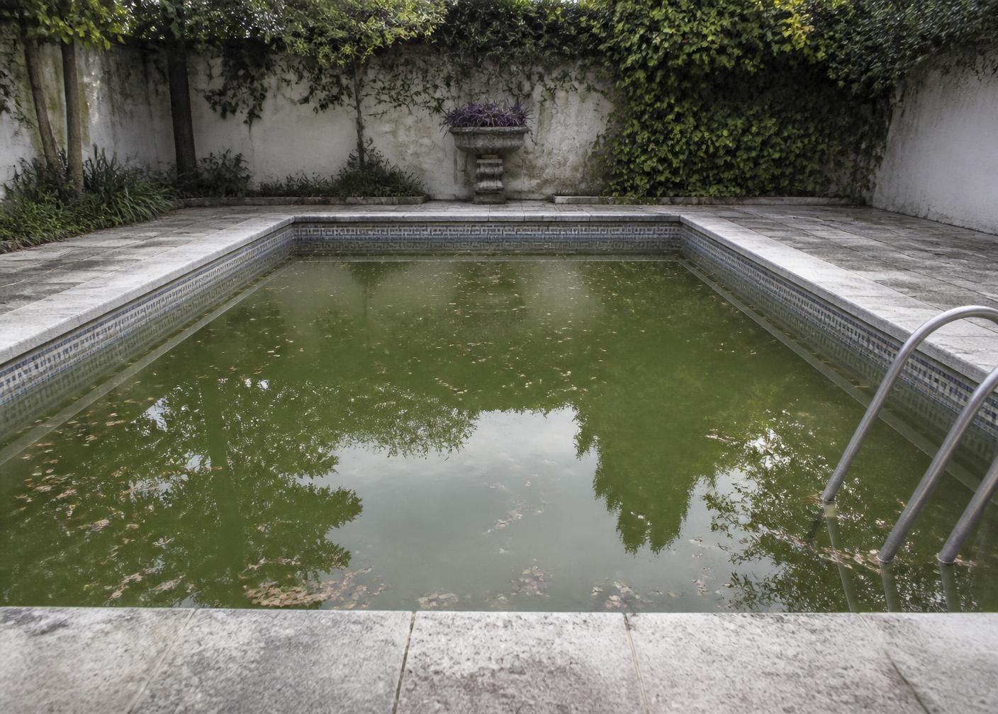 Neglected swimming pool with cloudy green water and floating leaves